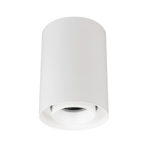 Светильник SP-FOCUS-R86-10W Day4000 (WH, 36 deg, 230V) (Arlight, IP54 Металл, 5 лет)