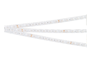 A42 24V 21 W/m IP67 WallWasher 